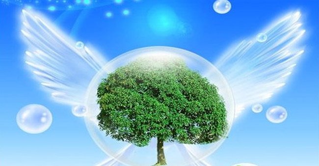 可按栏目接着查阅相关条目