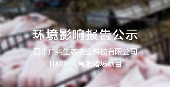 日喀市583333现场直播i1583