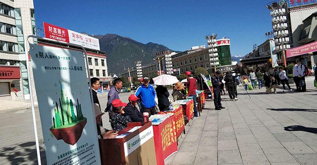 本站按公开材料组织页面