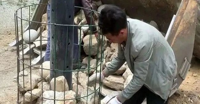 相关阅读