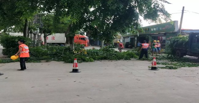 东兴国策环保科技股份有限583333
