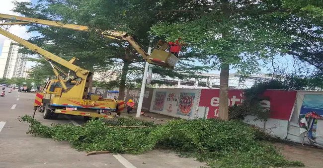 583333现场直播i1583333