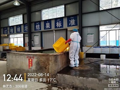 与此同时